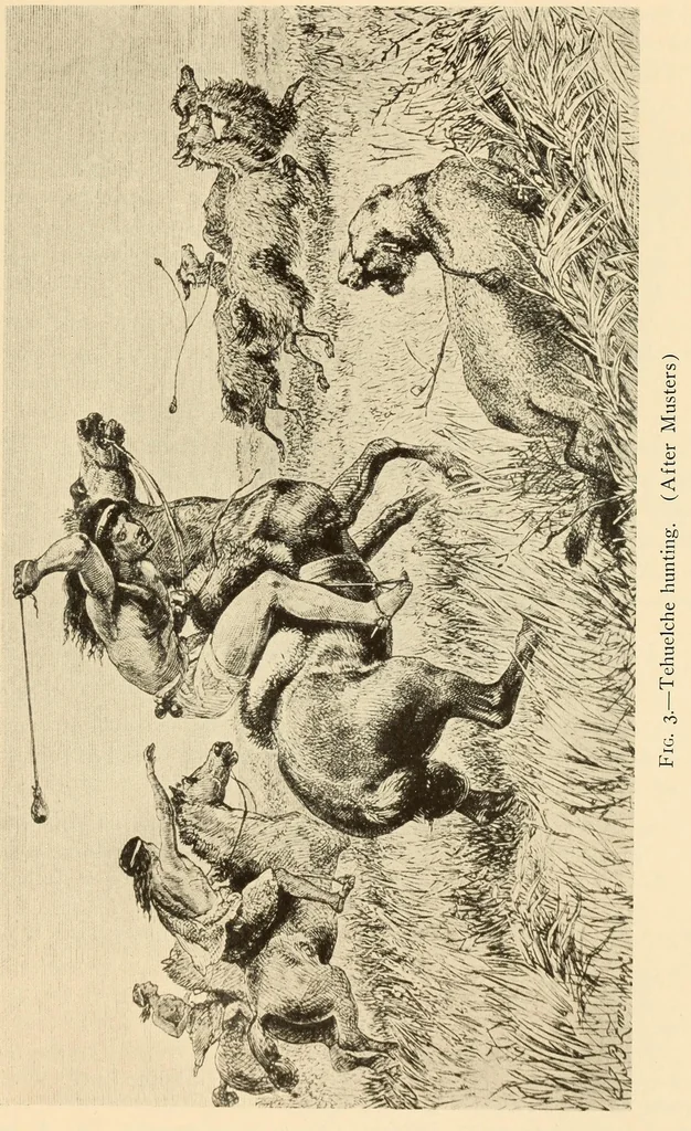 An illustration from Polychrome guanaco cloaks of Patagonia, 1929, leaf 11