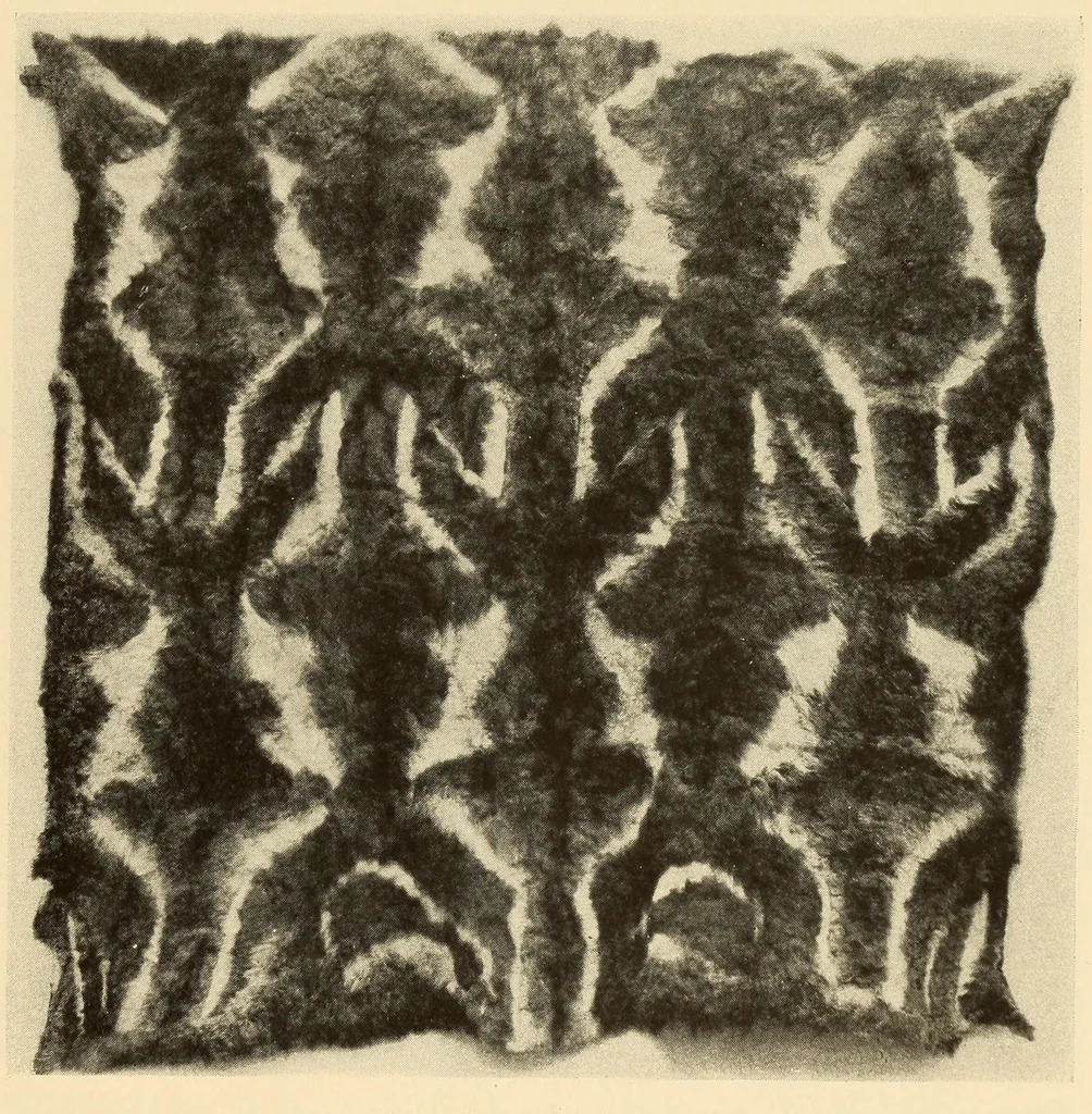 An illustration from Polychrome guanaco cloaks of Patagonia, 1929, leaf 17