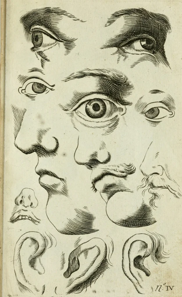 An illustration from Polygraphice, or, The arts of drawing, engraving, etching, limning, painting, vernishing, japaning, gilding, &c. : in two volumes ..., 1701, leaf 908