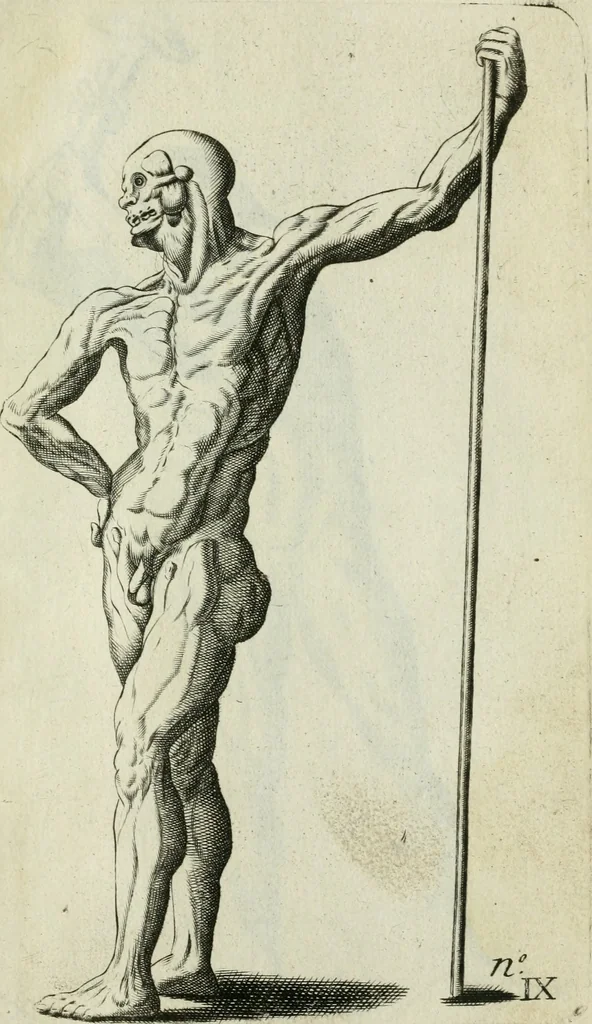 An illustration from Polygraphice, or, The arts of drawing, engraving, etching, limning, painting, vernishing, japaning, gilding, &c. : in two volumes ..., 1701, leaf 918