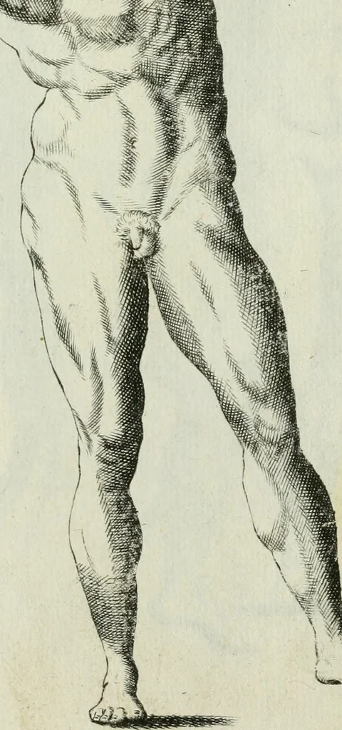 An illustration from Polygraphice, or, The arts of drawing, engraving, etching, limning, painting, vernishing, japaning, gilding, &c. : in two volumes ..., 1701, leaf 920