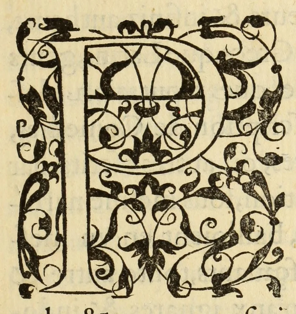An illustration from Polygraphie et vniuerselle escriture cabalistique, 1561, leaf 29