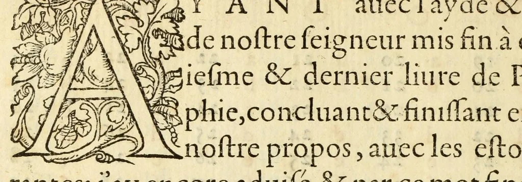 An illustration from Polygraphie et vniuerselle escriture cabalistique, 1561, leaf 424