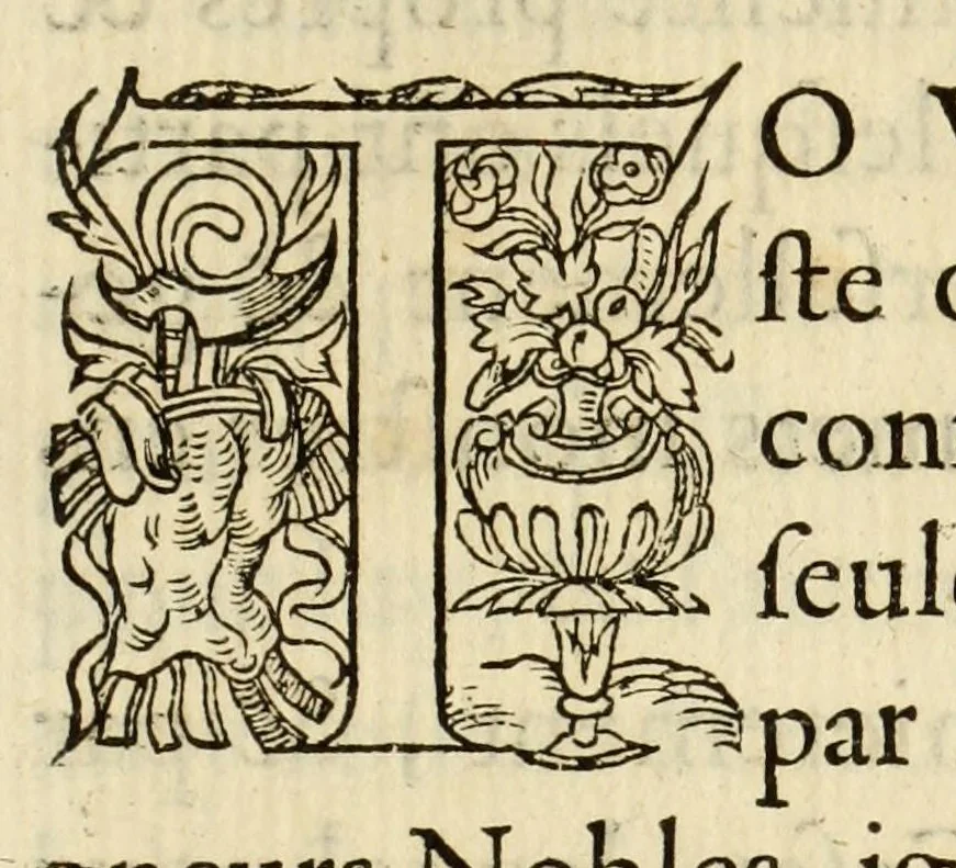An illustration from Polygraphie et vniuerselle escriture cabalistique, 1561, leaf 435