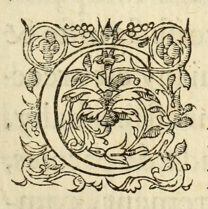An illustration from Polygraphie et vniuerselle escriture cabalistique, 1561, leaf 447