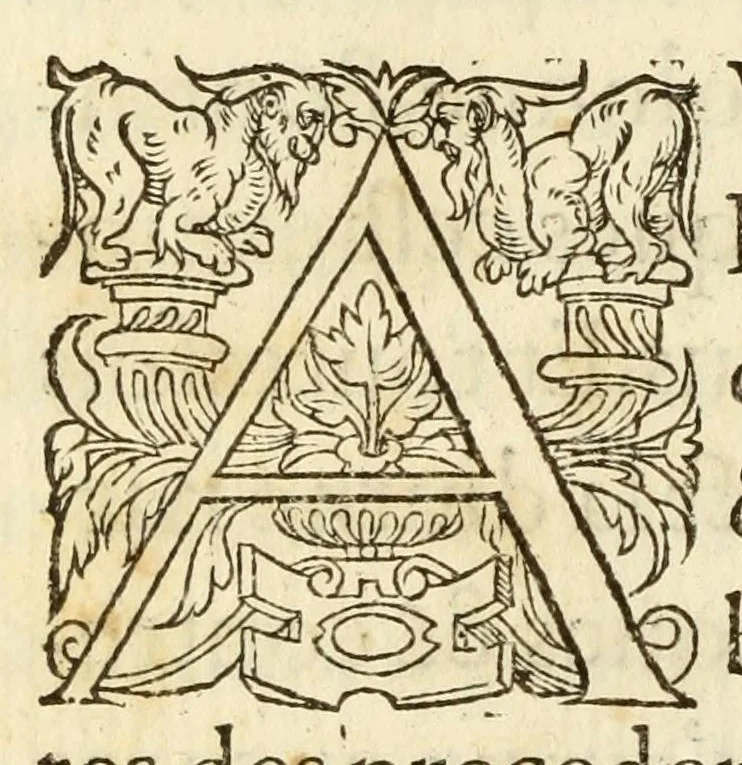 An illustration from Polygraphie et vniuerselle escriture cabalistique, 1561, leaf 474