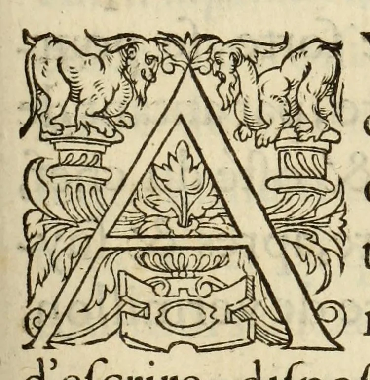 An illustration from Polygraphie et vniuerselle escriture cabalistique, 1561, leaf 477