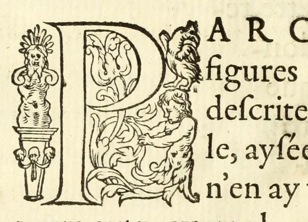 An illustration from Polygraphie et vniuerselle escriture cabalistique, 1561, leaf 568