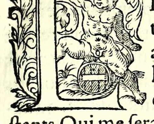 An illustration from Polygraphie, et vniuerselle escriture cabalistique, 1561, leaf 259