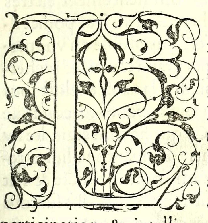 An illustration from Polygraphie, et vniuerselle escriture cabalistique, 1561, leaf 317