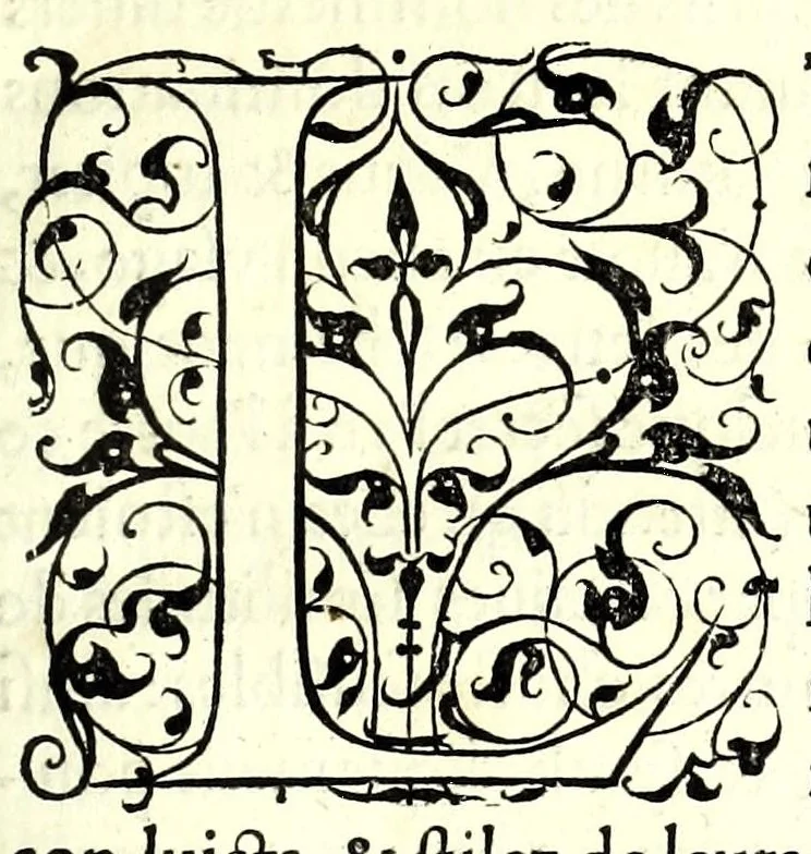 An illustration from Polygraphie, et vniuerselle escriture cabalistique, 1561, leaf 393