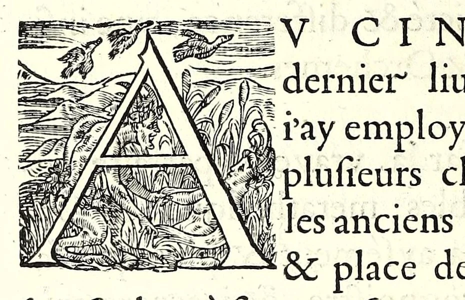 An illustration from Polygraphie, et vniuerselle escriture cabalistique, 1561, leaf 482