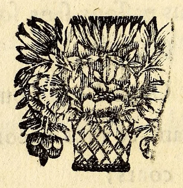 An illustration from Poëme du quinquina, : et autres ouvrages en vers, 1682, leaf 36