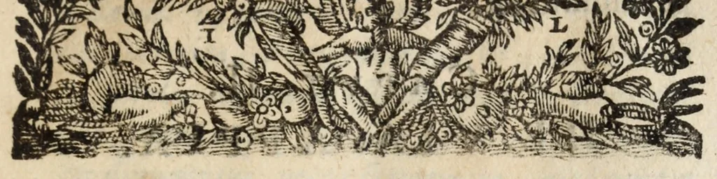 An illustration from Pompa feralis, siue, Iusta funebria Petri Morestelli .., 1621, leaf 127