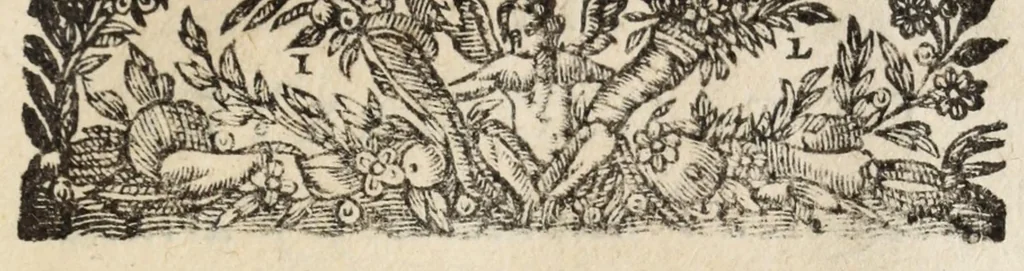 An illustration from Pompa feralis, siue, Iusta funebria Petri Morestelli .., 1621, leaf 143