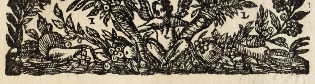 An illustration from Pompa feralis, siue, Iusta funebria Petri Morestelli .., 1621, leaf 151