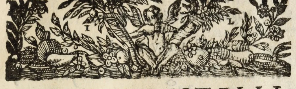 An illustration from Pompa feralis, siue, Iusta funebria Petri Morestelli .., 1621, leaf 165
