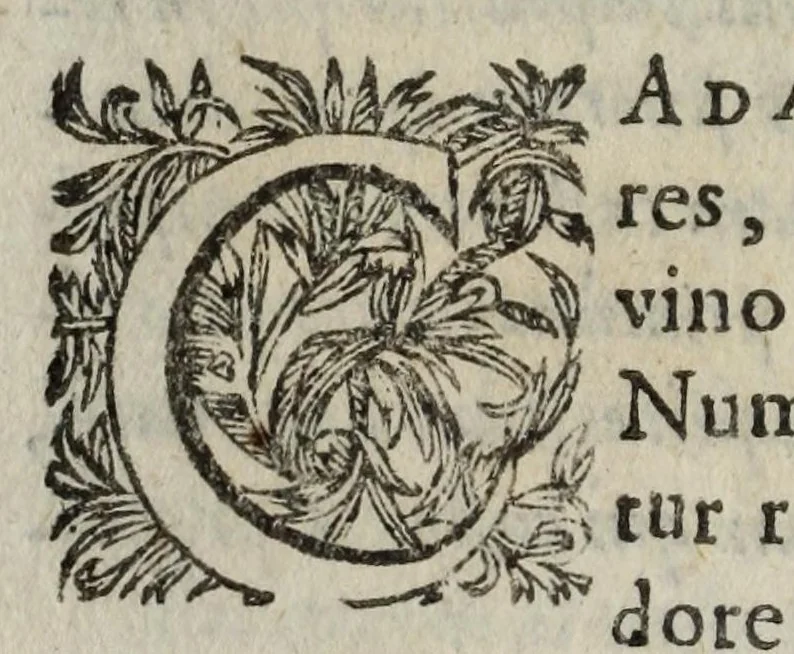 An illustration from Pompa feralis, siue, Iusta funebria Petri Morestelli .., 1621, leaf 174