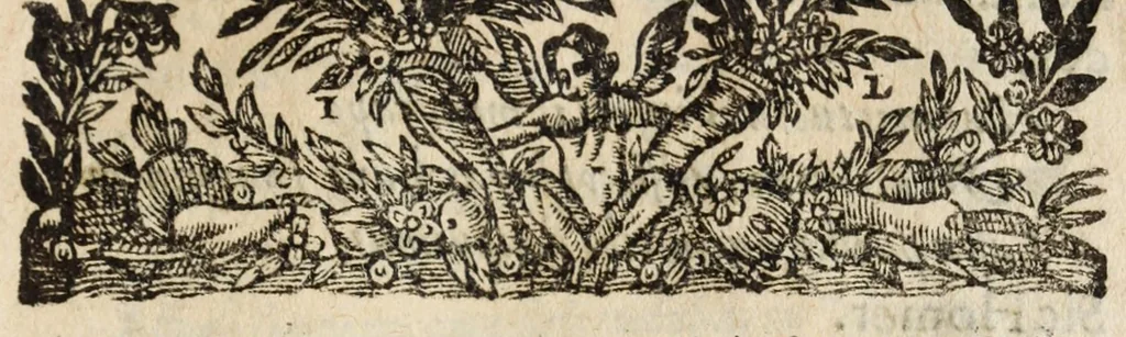 An illustration from Pompa feralis, siue, Iusta funebria Petri Morestelli .., 1621, leaf 205