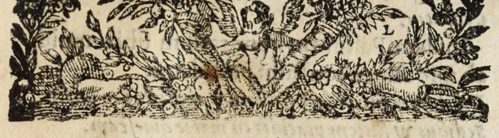 An illustration from Pompa feralis, siue, Iusta funebria Petri Morestelli .., 1621, leaf 219