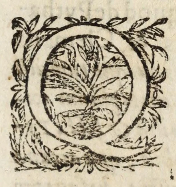 An illustration from Pompa feralis, siue, Iusta funebria Petri Morestelli .., 1621, leaf 219