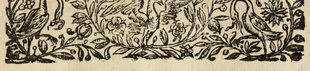 An illustration from Pompa feralis, siue, Iusta funebria Petri Morestelli .., 1621, leaf 29