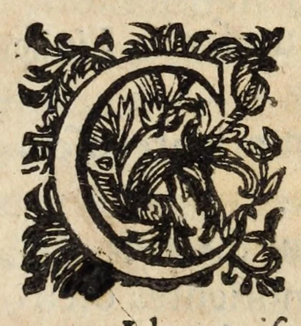 An illustration from Pompa feralis, siue, Iusta funebria Petri Morestelli .., 1621, leaf 29