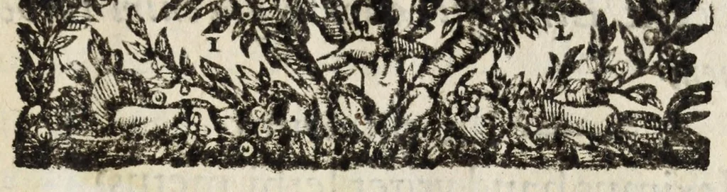 An illustration from Pompa feralis, siue, Iusta funebria Petri Morestelli .., 1621, leaf 7