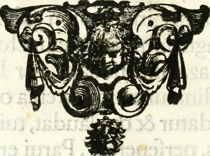 An illustration from Pompa funebre nell'esequie celebrate in Roma al cardinal Mazarini nella chiesa de SS. Vincenzo & Anastasio, 1661, leaf 35