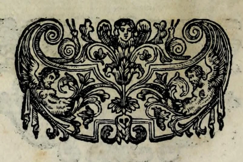 An illustration from Pompe funerali celebrate in Napoli per l'eccellentissima signora d. Caterina d'Aragona, e Sandovale, duchessa di Segorbia , Cardona, &c. : con l'aggiunta di altri componimenti intorno al medesimo soggetto : dedicate all'ecellentissimo suo figlio d. Luigi della Cerda, duca di Medina-Celi, &c., vicerè e capitan generale nel regno di Napoli, 1697, leaf 102