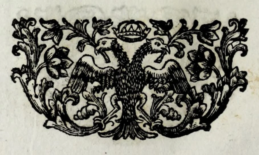 An illustration from Pompe funerali celebrate in Napoli per l'eccellentissima signora d. Caterina d'Aragona, e Sandovale, duchessa di Segorbia , Cardona, &c. : con l'aggiunta di altri componimenti intorno al medesimo soggetto : dedicate all'ecellentissimo suo figlio d. Luigi della Cerda, duca di Medina-Celi, &c., vicerè e capitan generale nel regno di Napoli, 1697, leaf 114