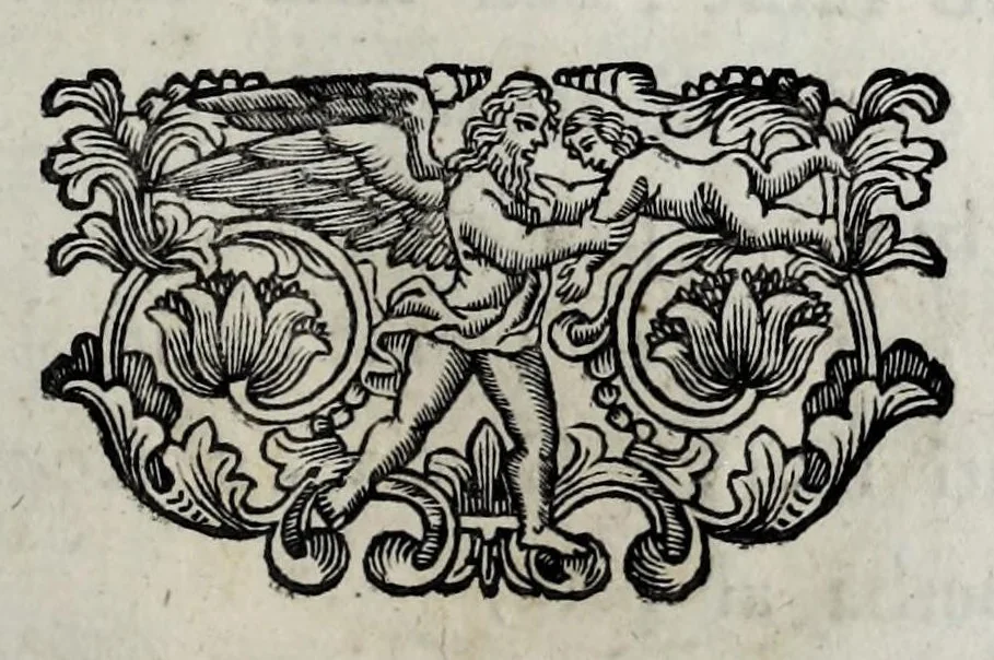 An illustration from Pompe funerali celebrate in Napoli per l'eccellentissima signora d. Caterina d'Aragona, e Sandovale, duchessa di Segorbia , Cardona, &c. : con l'aggiunta di altri componimenti intorno al medesimo soggetto : dedicate all'ecellentissimo suo figlio d. Luigi della Cerda, duca di Medina-Celi, &c., vicerè e capitan generale nel regno di Napoli, 1697, leaf 119