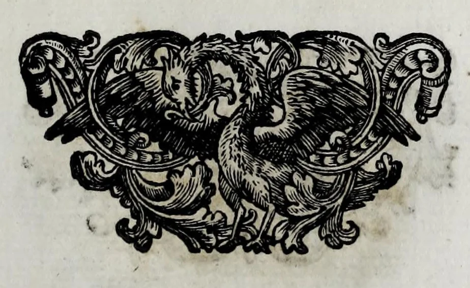 An illustration from Pompe funerali celebrate in Napoli per l'eccellentissima signora d. Caterina d'Aragona, e Sandovale, duchessa di Segorbia , Cardona, &c. : con l'aggiunta di altri componimenti intorno al medesimo soggetto : dedicate all'ecellentissimo suo figlio d. Luigi della Cerda, duca di Medina-Celi, &c., vicerè e capitan generale nel regno di Napoli, 1697, leaf 125