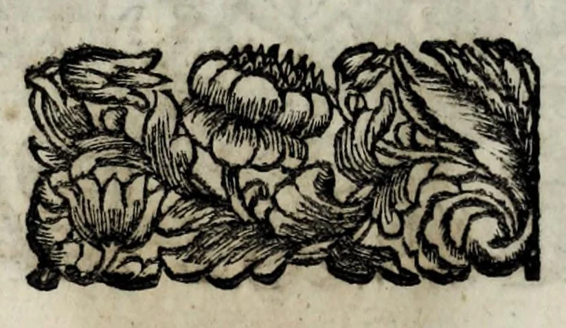 An illustration from Pompe funerali celebrate in Napoli per l'eccellentissima signora d. Caterina d'Aragona, e Sandovale, duchessa di Segorbia , Cardona, &c. : con l'aggiunta di altri componimenti intorno al medesimo soggetto : dedicate all'ecellentissimo suo figlio d. Luigi della Cerda, duca di Medina-Celi, &c., vicerè e capitan generale nel regno di Napoli, 1697, leaf 136