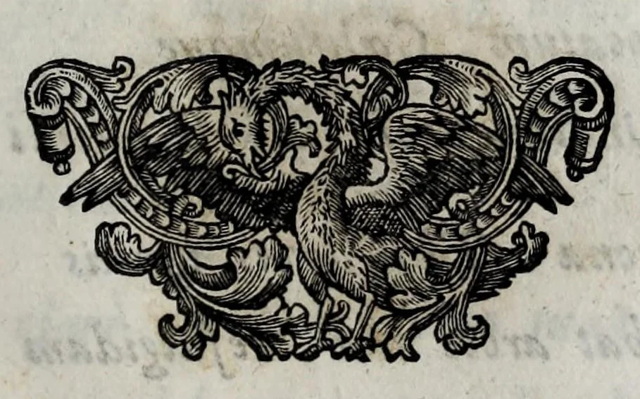 An illustration from Pompe funerali celebrate in Napoli per l'eccellentissima signora d. Caterina d'Aragona, e Sandovale, duchessa di Segorbia , Cardona, &c. : con l'aggiunta di altri componimenti intorno al medesimo soggetto : dedicate all'ecellentissimo suo figlio d. Luigi della Cerda, duca di Medina-Celi, &c., vicerè e capitan generale nel regno di Napoli, 1697, leaf 147