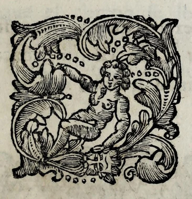 An illustration from Pompe funerali celebrate in Napoli per l'eccellentissima signora d. Caterina d'Aragona, e Sandovale, duchessa di Segorbia , Cardona, &c. : con l'aggiunta di altri componimenti intorno al medesimo soggetto : dedicate all'ecellentissimo suo figlio d. Luigi della Cerda, duca di Medina-Celi, &c., vicerè e capitan generale nel regno di Napoli, 1697, leaf 161