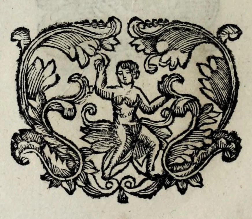 An illustration from Pompe funerali celebrate in Napoli per l'eccellentissima signora d. Caterina d'Aragona, e Sandovale, duchessa di Segorbia , Cardona, &c. : con l'aggiunta di altri componimenti intorno al medesimo soggetto : dedicate all'ecellentissimo suo figlio d. Luigi della Cerda, duca di Medina-Celi, &c., vicerè e capitan generale nel regno di Napoli, 1697, leaf 162