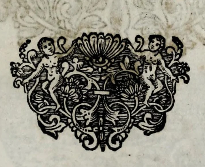 An illustration from Pompe funerali celebrate in Napoli per l'eccellentissima signora d. Caterina d'Aragona, e Sandovale, duchessa di Segorbia , Cardona, &c. : con l'aggiunta di altri componimenti intorno al medesimo soggetto : dedicate all'ecellentissimo suo figlio d. Luigi della Cerda, duca di Medina-Celi, &c., vicerè e capitan generale nel regno di Napoli, 1697, leaf 205