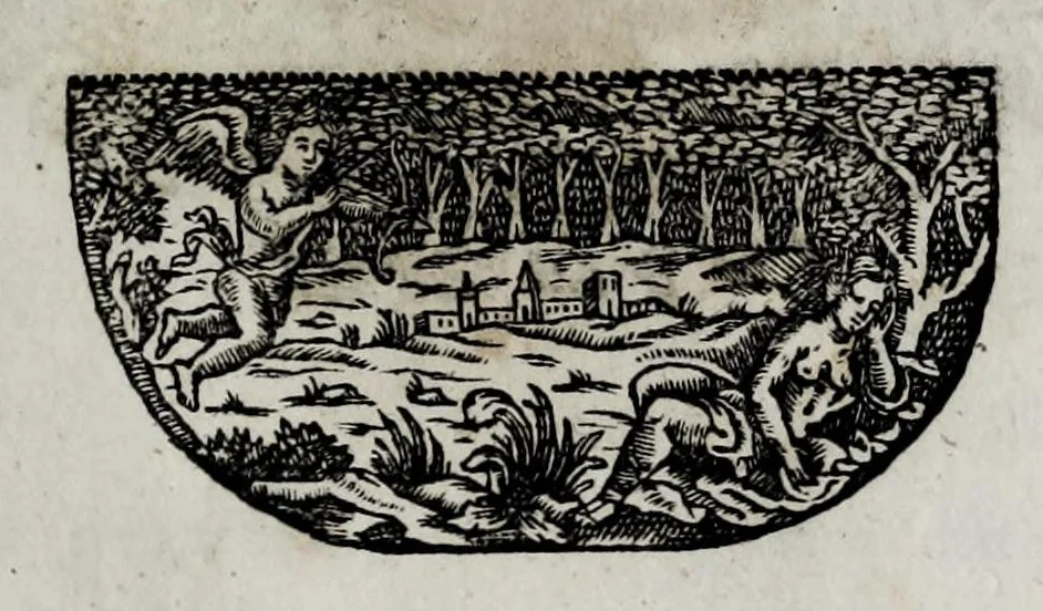 An illustration from Pompe funerali celebrate in Napoli per l'eccellentissima signora d. Caterina d'Aragona, e Sandovale, duchessa di Segorbia , Cardona, &c. : con l'aggiunta di altri componimenti intorno al medesimo soggetto : dedicate all'ecellentissimo suo figlio d. Luigi della Cerda, duca di Medina-Celi, &c., vicerè e capitan generale nel regno di Napoli, 1697, leaf 207
