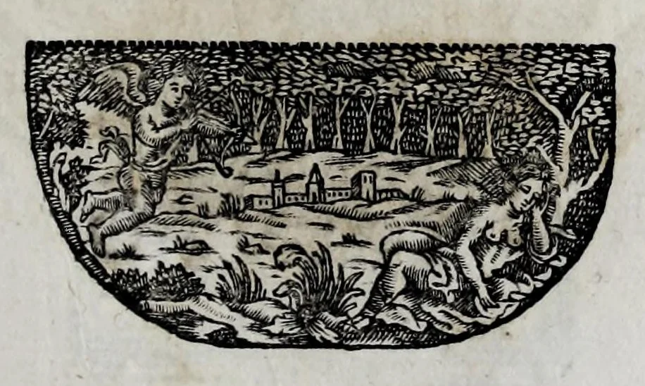 An illustration from Pompe funerali celebrate in Napoli per l'eccellentissima signora d. Caterina d'Aragona, e Sandovale, duchessa di Segorbia , Cardona, &c. : con l'aggiunta di altri componimenti intorno al medesimo soggetto : dedicate all'ecellentissimo suo figlio d. Luigi della Cerda, duca di Medina-Celi, &c., vicerè e capitan generale nel regno di Napoli, 1697, leaf 211