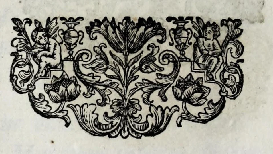 An illustration from Pompe funerali celebrate in Napoli per l'eccellentissima signora d. Caterina d'Aragona, e Sandovale, duchessa di Segorbia , Cardona, &c. : con l'aggiunta di altri componimenti intorno al medesimo soggetto : dedicate all'ecellentissimo suo figlio d. Luigi della Cerda, duca di Medina-Celi, &c., vicerè e capitan generale nel regno di Napoli, 1697, leaf 218