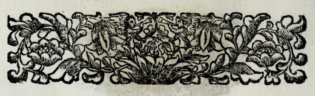 An illustration from Pompe funerali celebrate in Napoli per l'eccellentissima signora d. Caterina d'Aragona, e Sandovale, duchessa di Segorbia , Cardona, &c. : con l'aggiunta di altri componimenti intorno al medesimo soggetto : dedicate all'ecellentissimo suo figlio d. Luigi della Cerda, duca di Medina-Celi, &c., vicerè e capitan generale nel regno di Napoli, 1697, leaf 220