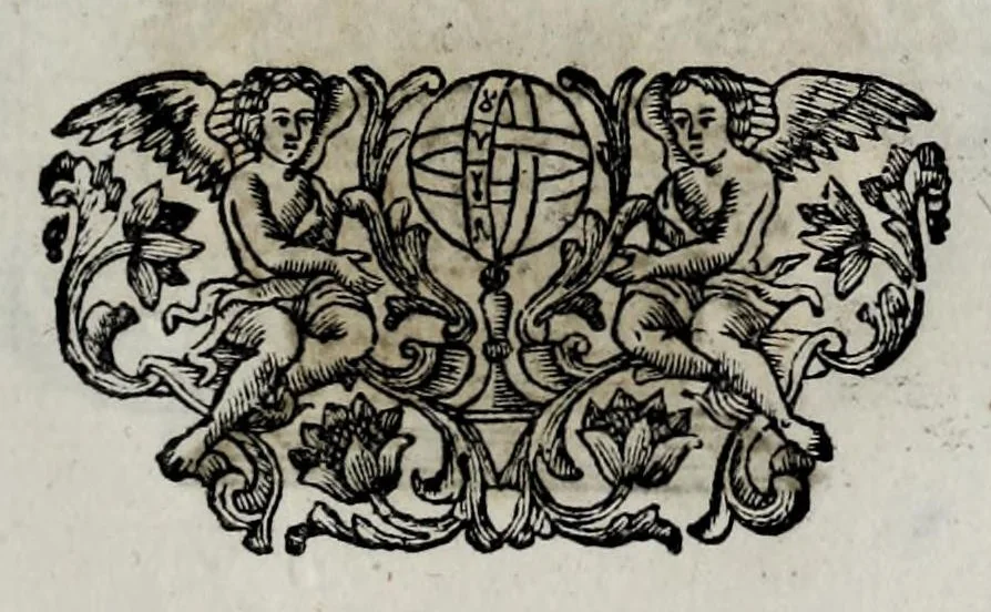 An illustration from Pompe funerali celebrate in Napoli per l'eccellentissima signora d. Caterina d'Aragona, e Sandovale, duchessa di Segorbia , Cardona, &c. : con l'aggiunta di altri componimenti intorno al medesimo soggetto : dedicate all'ecellentissimo suo figlio d. Luigi della Cerda, duca di Medina-Celi, &c., vicerè e capitan generale nel regno di Napoli, 1697, leaf 223