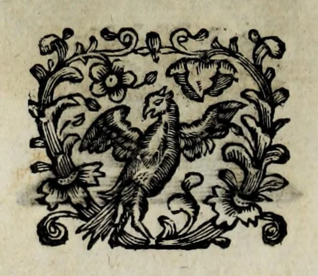 An illustration from Pompe funerali celebrate in Napoli per l'eccellentissima signora d. Caterina d'Aragona, e Sandovale, duchessa di Segorbia , Cardona, &c. : con l'aggiunta di altri componimenti intorno al medesimo soggetto : dedicate all'ecellentissimo suo figlio d. Luigi della Cerda, duca di Medina-Celi, &c., vicerè e capitan generale nel regno di Napoli, 1697, leaf 238