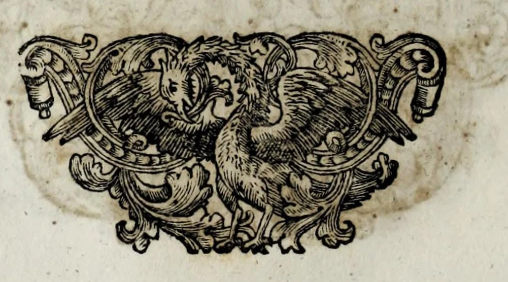 An illustration from Pompe funerali celebrate in Napoli per l'eccellentissima signora d. Caterina d'Aragona, e Sandovale, duchessa di Segorbia , Cardona, &c. : con l'aggiunta di altri componimenti intorno al medesimo soggetto : dedicate all'ecellentissimo suo figlio d. Luigi della Cerda, duca di Medina-Celi, &c., vicerè e capitan generale nel regno di Napoli, 1697, leaf 278