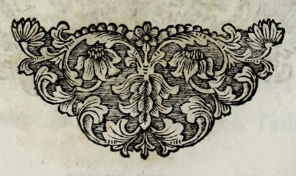 An illustration from Pompe funerali celebrate in Napoli per l'eccellentissima signora d. Caterina d'Aragona, e Sandovale, duchessa di Segorbia , Cardona, &c. : con l'aggiunta di altri componimenti intorno al medesimo soggetto : dedicate all'ecellentissimo suo figlio d. Luigi della Cerda, duca di Medina-Celi, &c., vicerè e capitan generale nel regno di Napoli, 1697, leaf 286