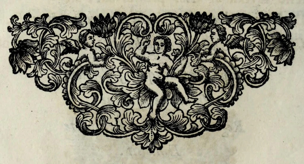An illustration from Pompe funerali celebrate in Napoli per l'eccellentissima signora d. Caterina d'Aragona, e Sandovale, duchessa di Segorbia , Cardona, &c. : con l'aggiunta di altri componimenti intorno al medesimo soggetto : dedicate all'ecellentissimo suo figlio d. Luigi della Cerda, duca di Medina-Celi, &c., vicerè e capitan generale nel regno di Napoli, 1697, leaf 294