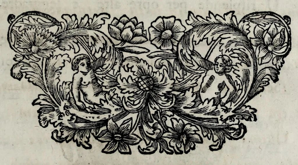An illustration from Pompe funerali celebrate in Napoli per l'eccellentissima signora d. Caterina d'Aragona, e Sandovale, duchessa di Segorbia , Cardona, &c. : con l'aggiunta di altri componimenti intorno al medesimo soggetto : dedicate all'ecellentissimo suo figlio d. Luigi della Cerda, duca di Medina-Celi, &c., vicerè e capitan generale nel regno di Napoli, 1697, leaf 299