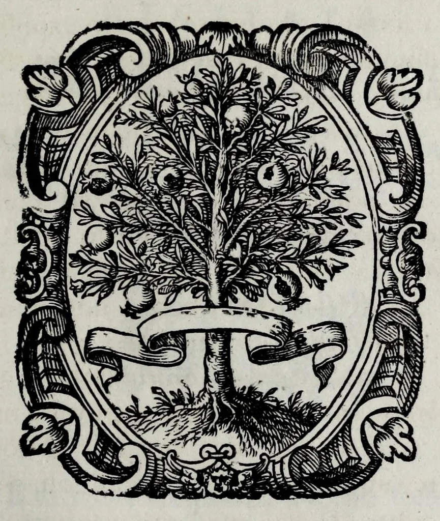 An illustration from Pompe funerali celebrate in Napoli per l'eccellentissima signora d. Caterina d'Aragona, e Sandovale, duchessa di Segorbia , Cardona, &c. : con l'aggiunta di altri componimenti intorno al medesimo soggetto : dedicate all'ecellentissimo suo figlio d. Luigi della Cerda, duca di Medina-Celi, &c., vicerè e capitan generale nel regno di Napoli, 1697, leaf 73
