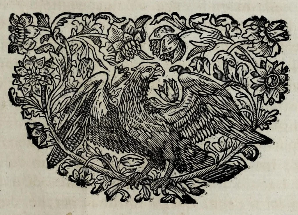 An illustration from Pompe funerali celebrate in Napoli per l'eccellentissima signora d. Caterina d'Aragona, e Sandovale, duchessa di Segorbia , Cardona, &c. : con l'aggiunta di altri componimenti intorno al medesimo soggetto : dedicate all'ecellentissimo suo figlio d. Luigi della Cerda, duca di Medina-Celi, &c., vicerè e capitan generale nel regno di Napoli, 1697, leaf 85